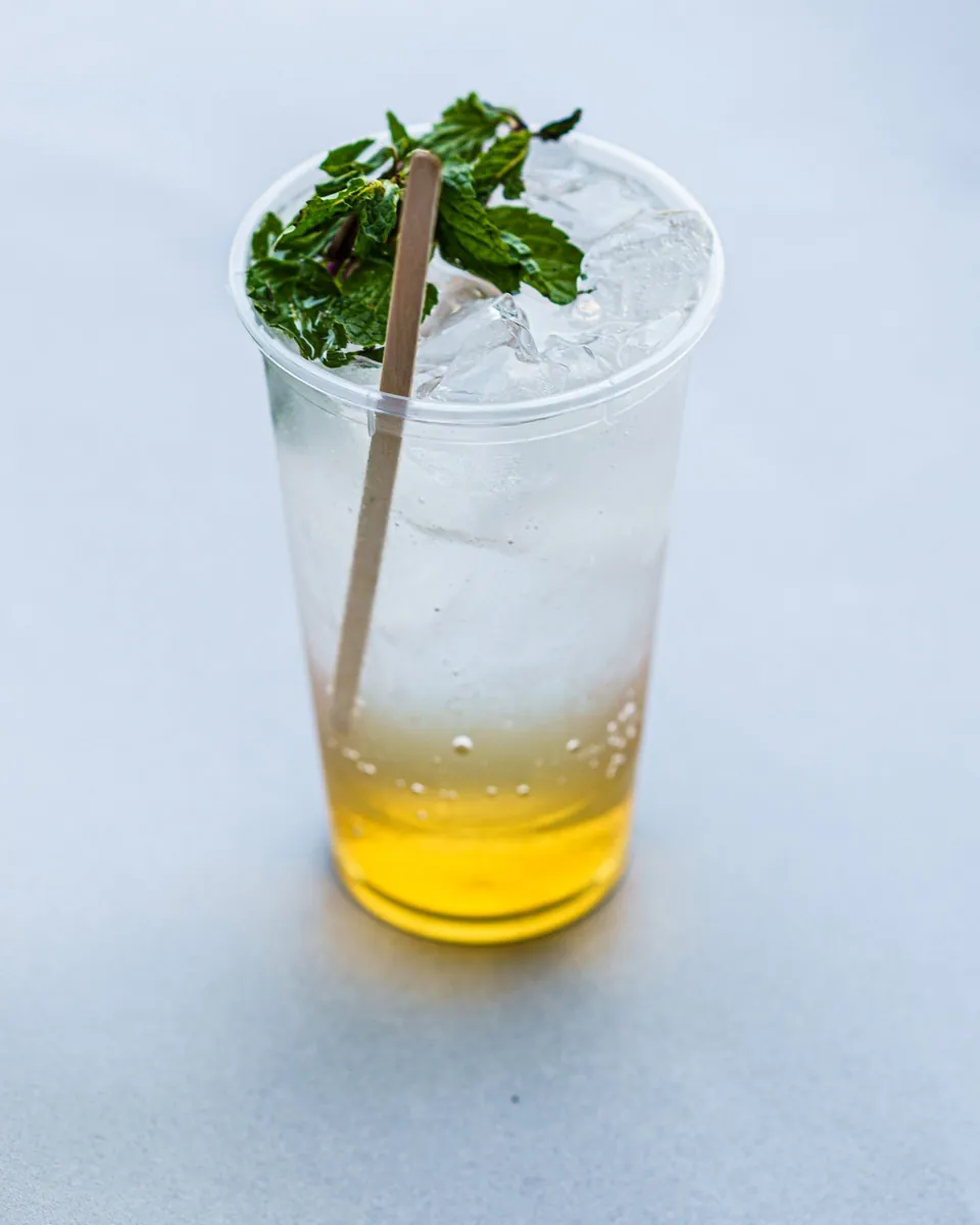 Ice Cup Le Glaceur : gobelet de glaçons à couvercle